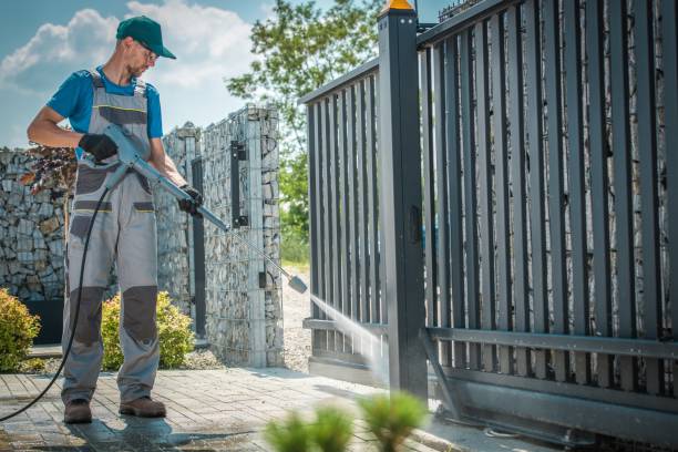 Best Soft Washing  in Schler Park, IL