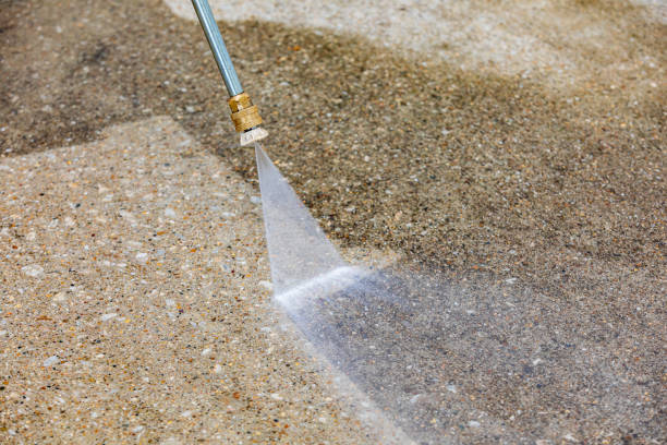 Best Spring Cleaning  in Schler Park, IL